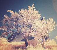 商业流程再造的电话验证码轰炸平台